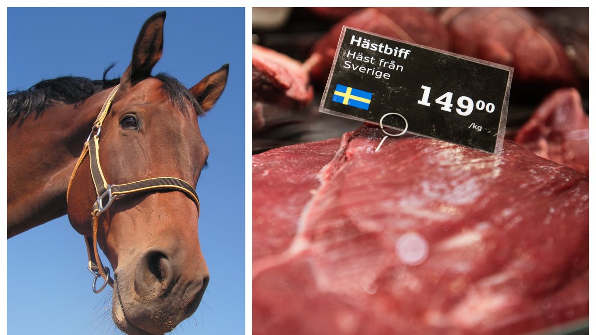 Travtränaren Claes Svensson tycker inte nödvändigtvis att konsumtion av hästkött är problematiskt.